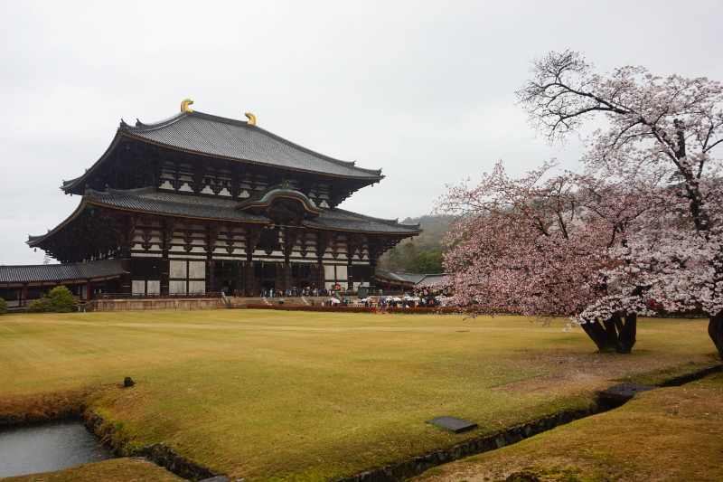 Todai-ji temple, Nara, Japan