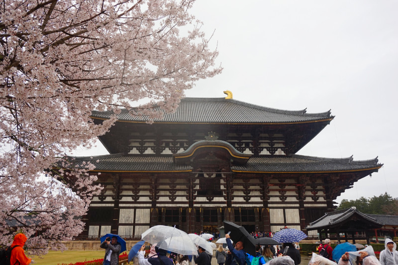 Todai-ji temple, Nara, Japan