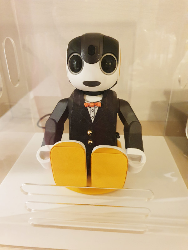 Robot in our hotel room, Henn Na Hotel, Maihama, Tokyo, Japan