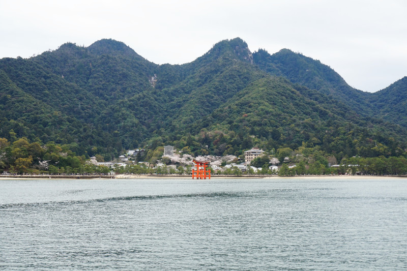 Approaching Itsukushima shrine torii gate on Miyajima Island, Japan