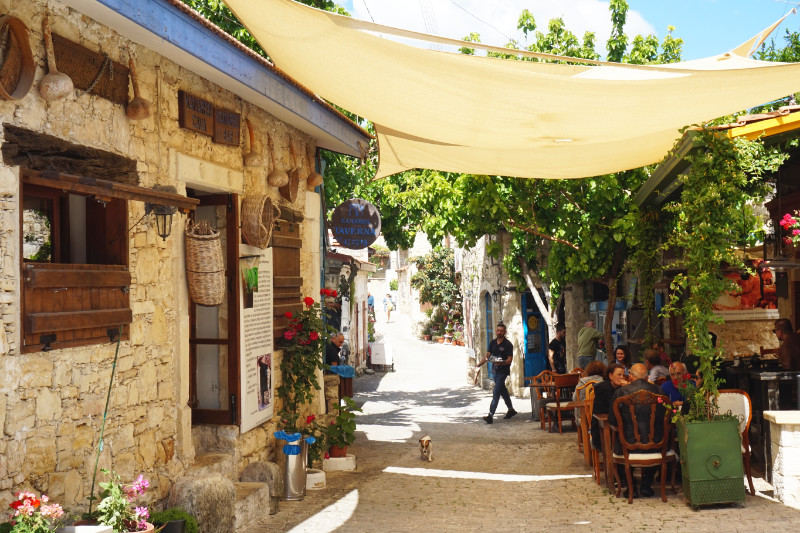 A pretty street scene, Lofou, Cyprus. On the right is a coffee shop with locals chatting. A waiter is walking out with a tray of drinks. A small dog walks towards the camera while the owner of a tavern on the left watches him. The street is covered in a canopy, and the cafe is adorned with a tree.