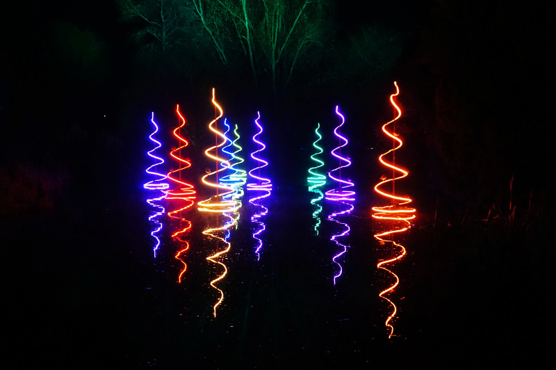 Christmas At The Botanics, Edinburgh, Scotland