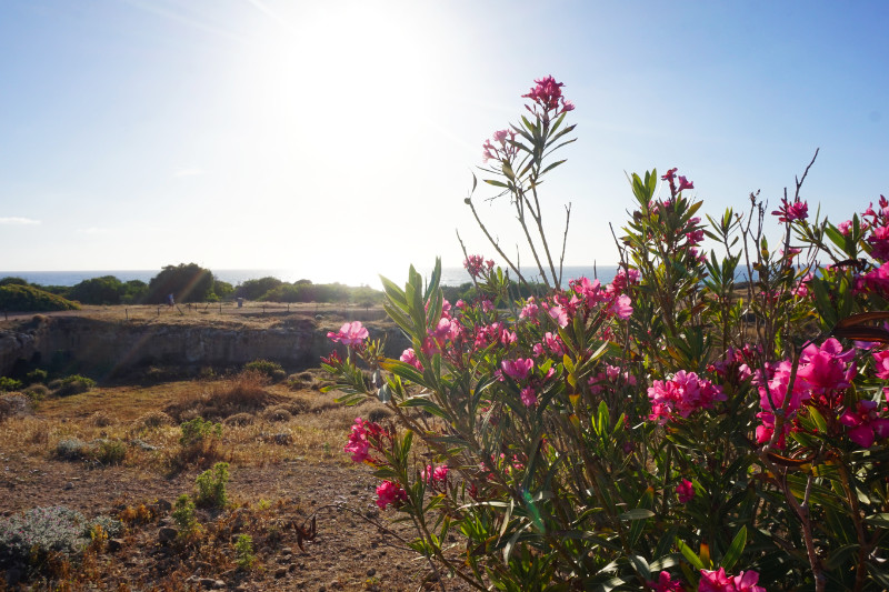 Tombs Of The Kings, Paphos, Cyprus