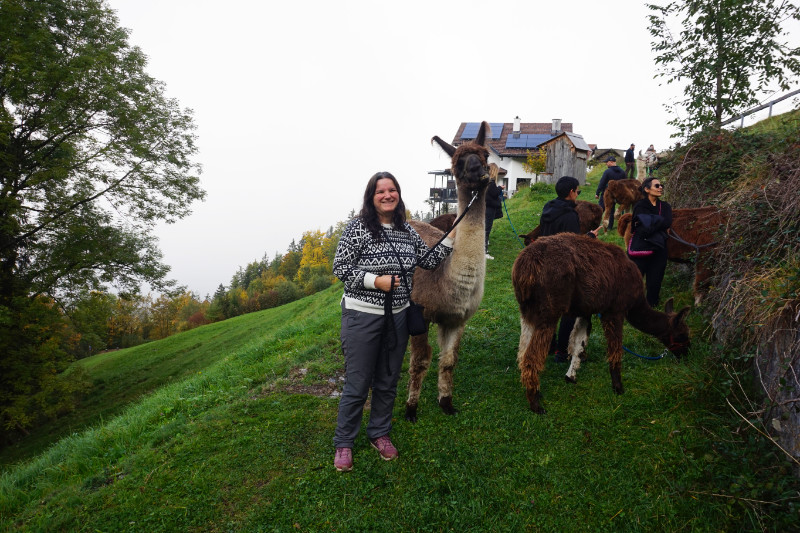 Llamas, Liechtenstein