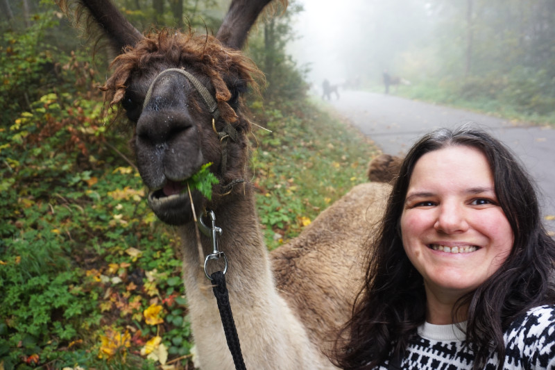Walking with a llama, Liechtenstein