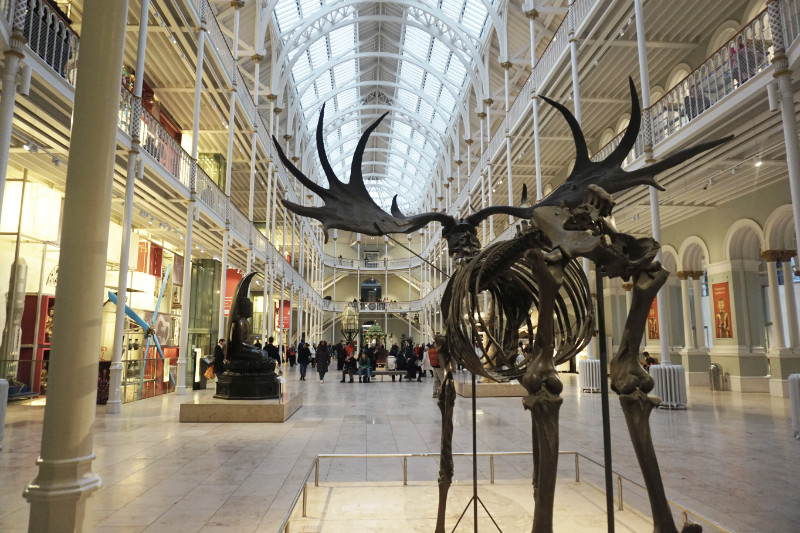 National Museum of Scotland, Edinburgh