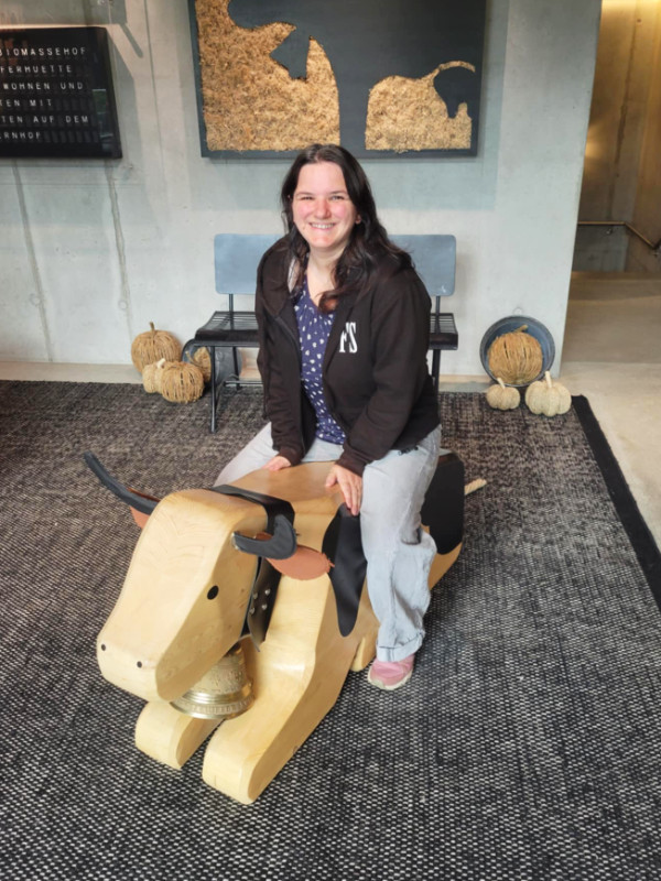 Riding a cow at the Trauffer shop, Switzerland