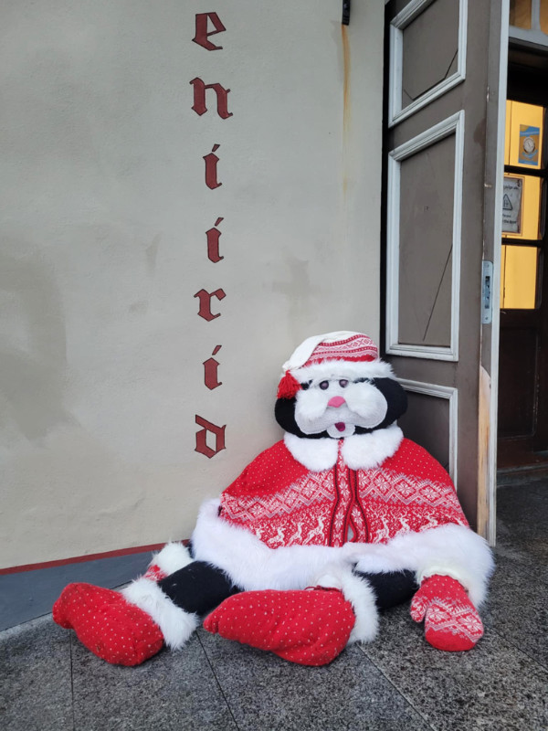 Haunted festive teddy, Tallinn, Estonia