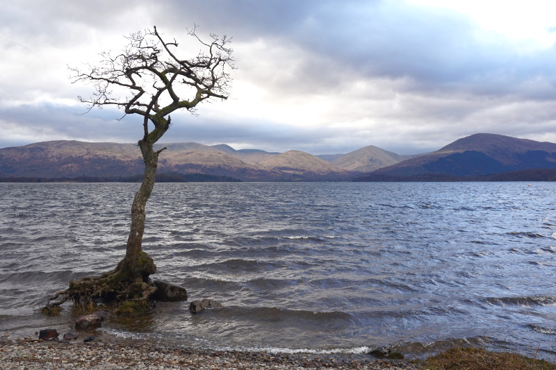 Milarrochy Bay, Loch Lomond, Scotland