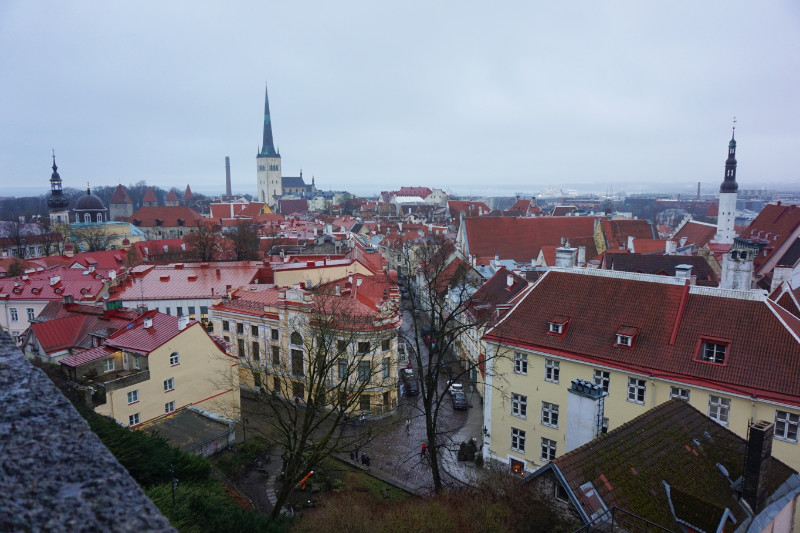 View from Kohtuotsa viewpoint, Tallinn, Estonia