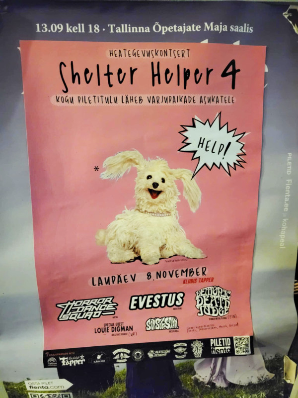 Dog help poster, Tallinn, Estonia