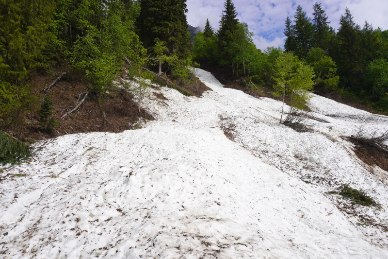 Avalanche at Kinney Lake trail, Canada