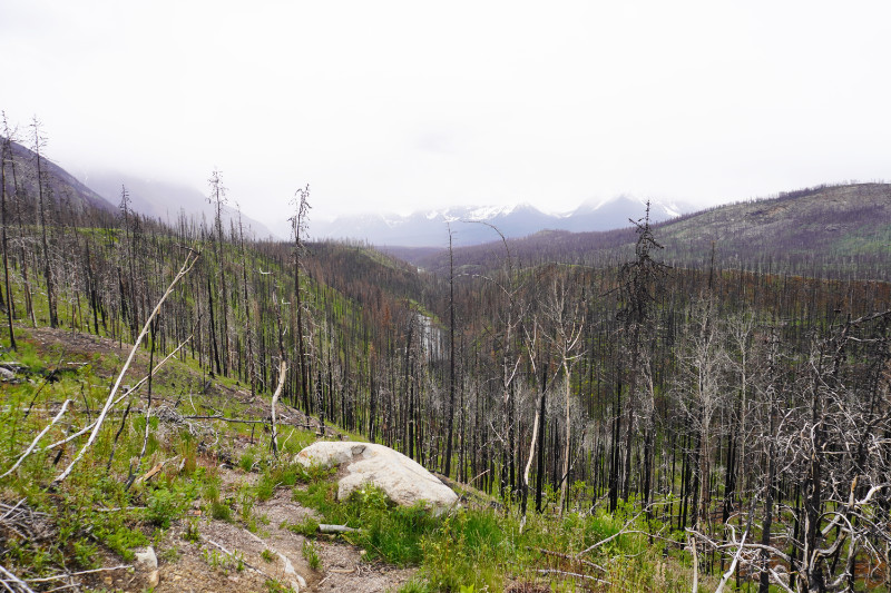 Jasper National Park fire devastation, Canada